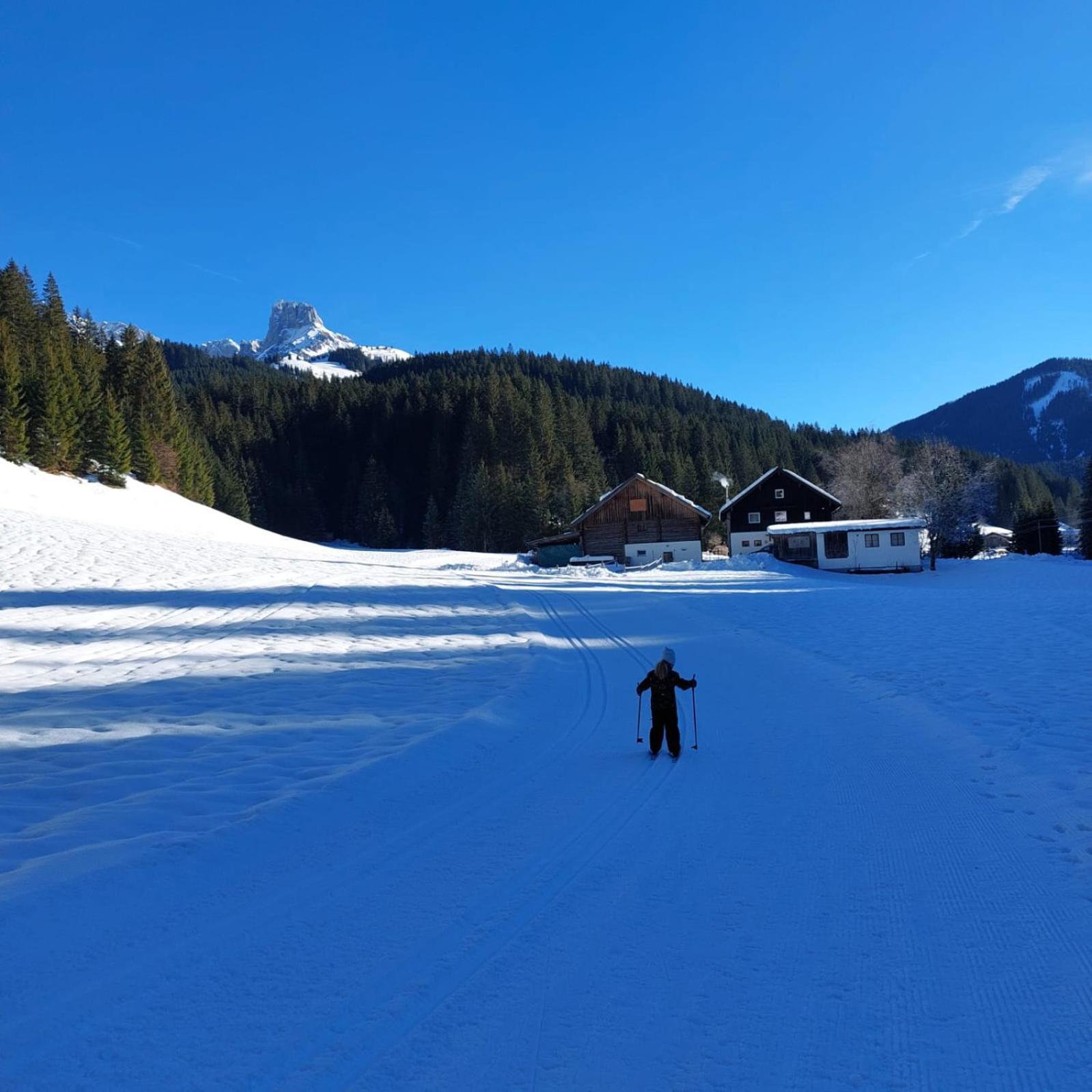 Huette Neuhaus Villa Annaberg im Lammertal Buitenkant foto