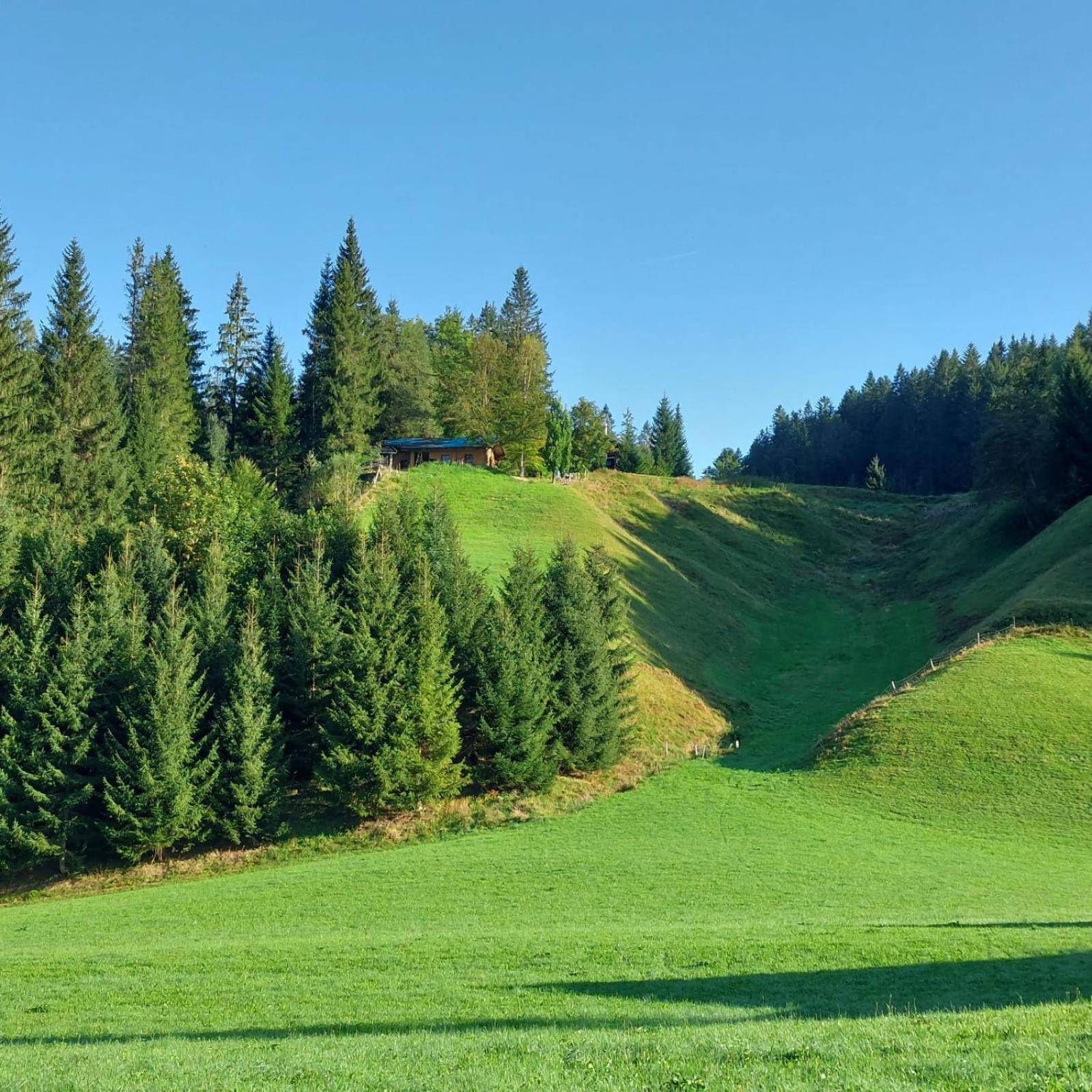 Huette Neuhaus Villa Annaberg im Lammertal Buitenkant foto