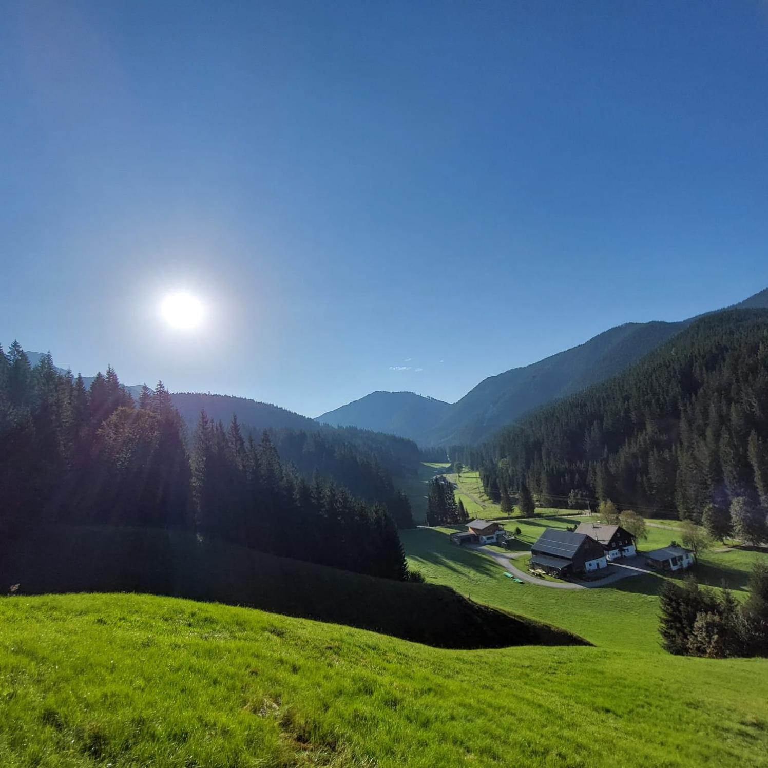 Huette Neuhaus Villa Annaberg im Lammertal Buitenkant foto