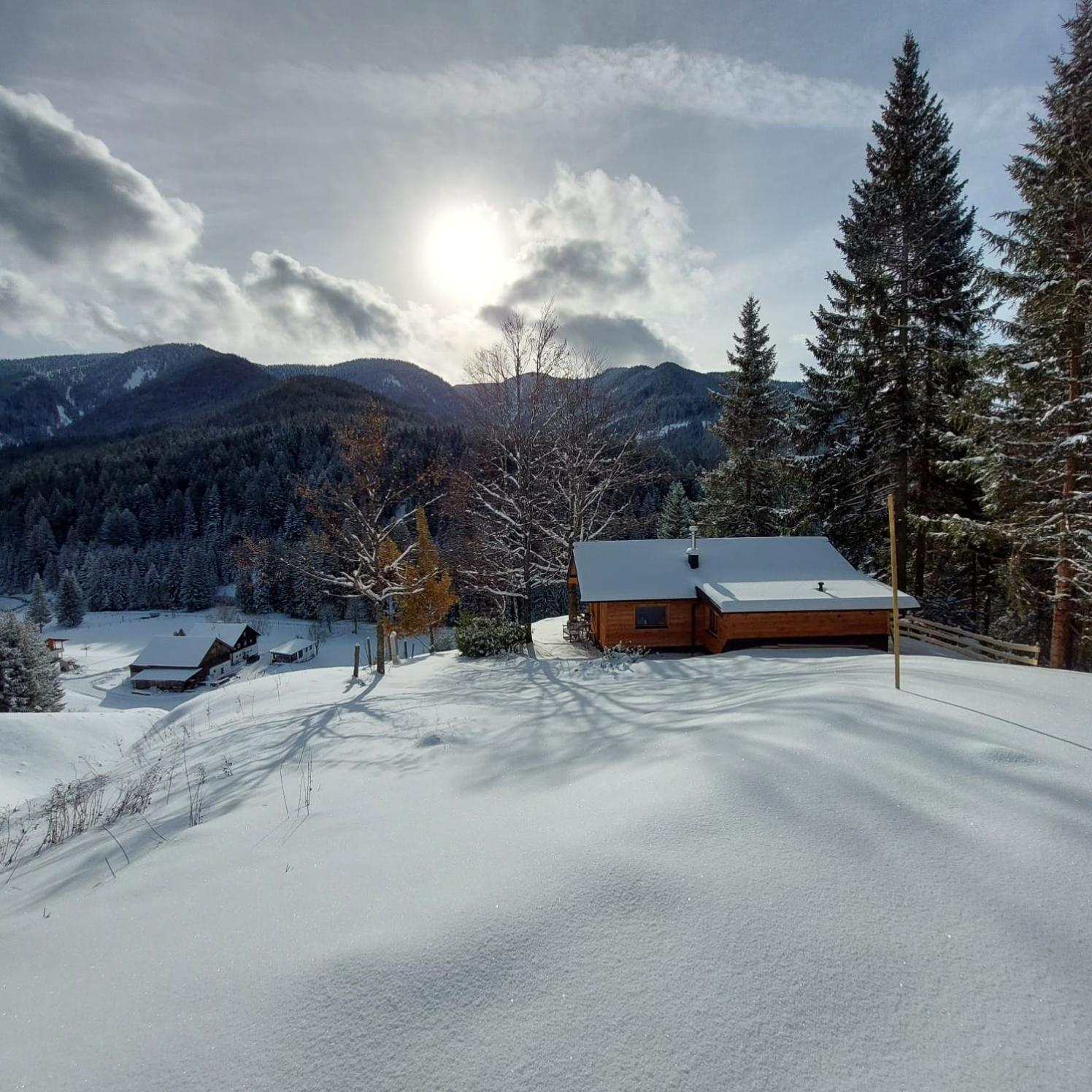Huette Neuhaus Villa Annaberg im Lammertal Buitenkant foto
