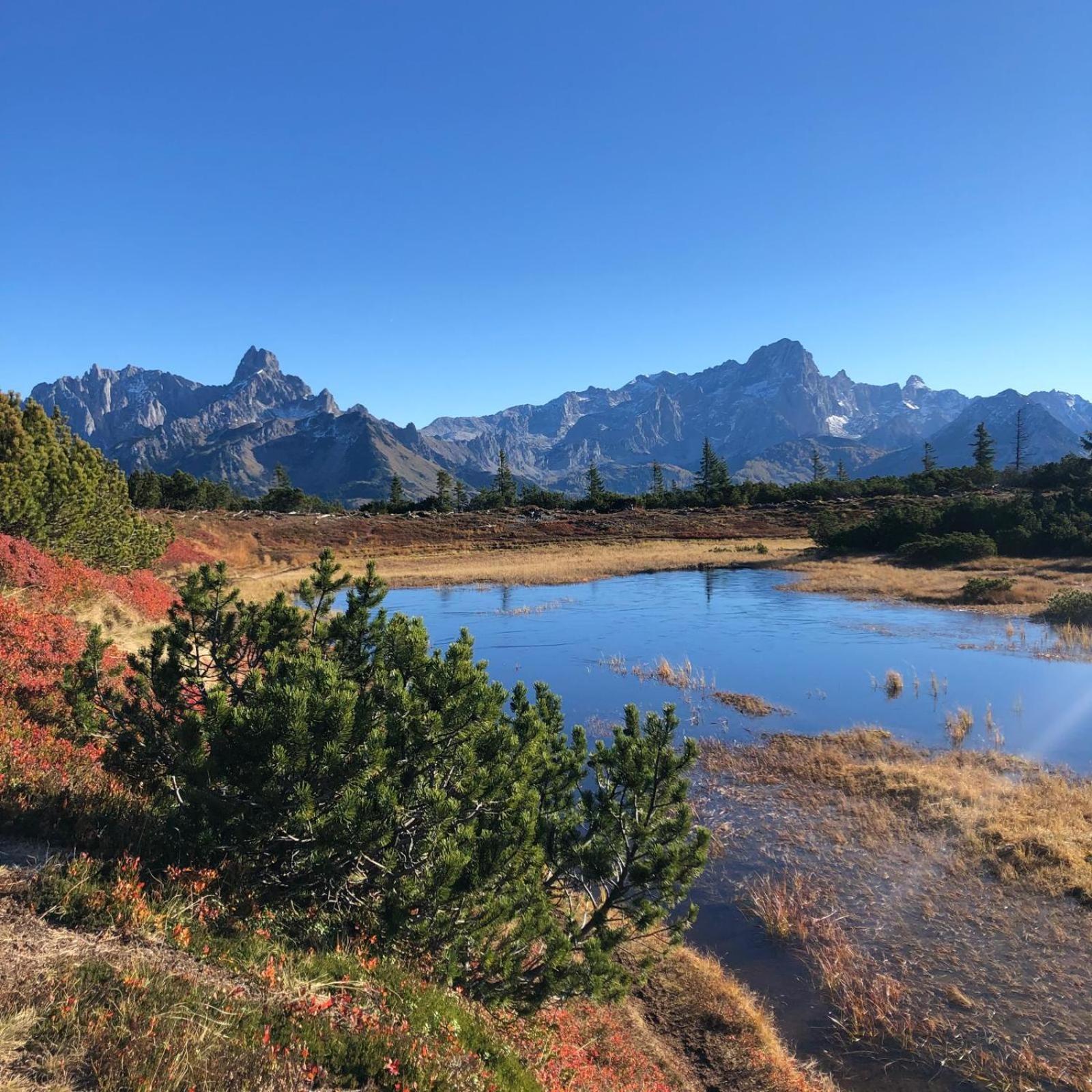 Huette Neuhaus Villa Annaberg im Lammertal Buitenkant foto