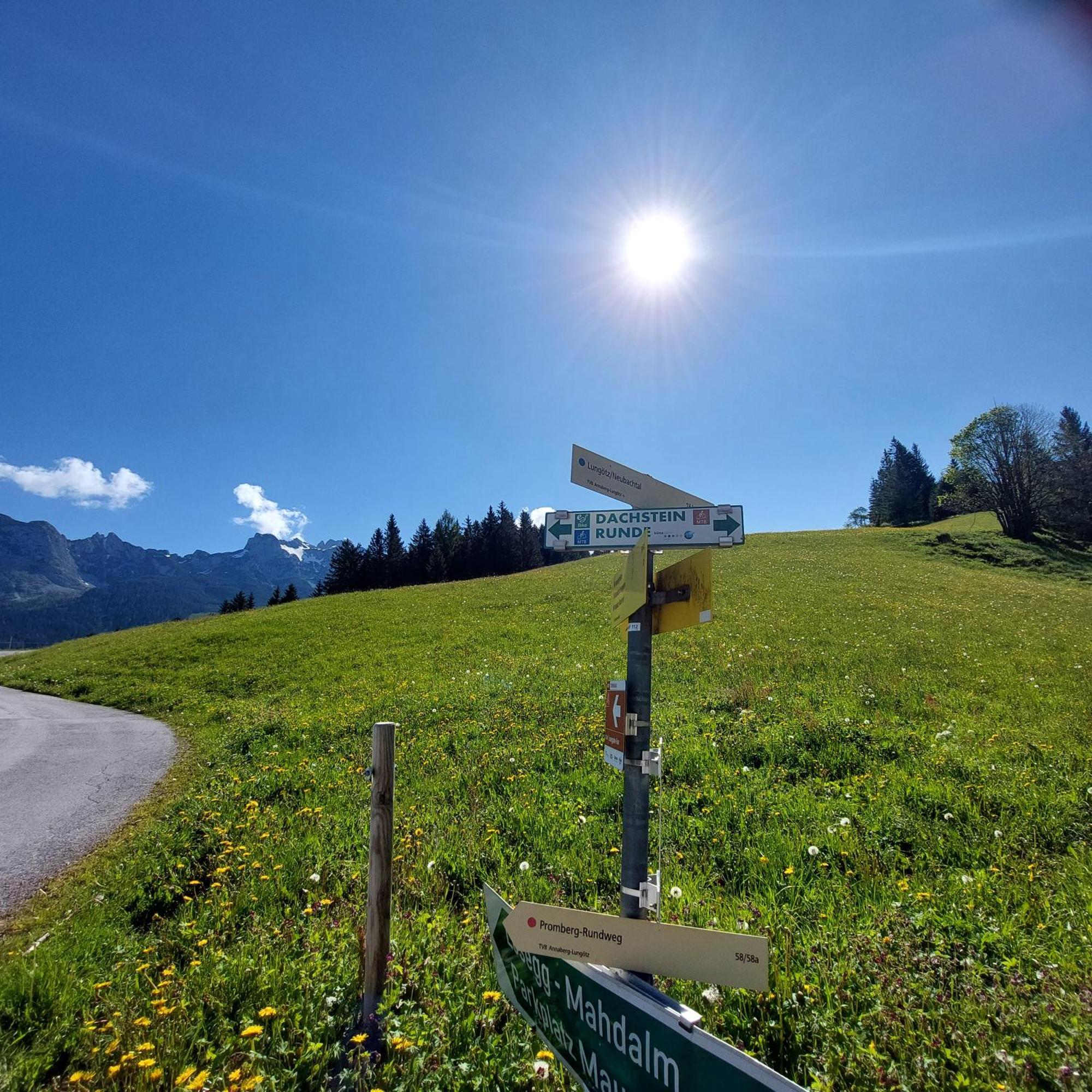 Huette Neuhaus Villa Annaberg im Lammertal Buitenkant foto