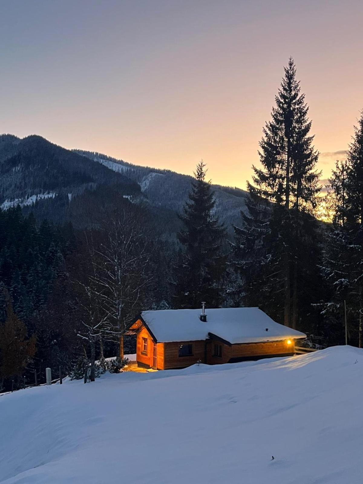 Huette Neuhaus Villa Annaberg im Lammertal Buitenkant foto