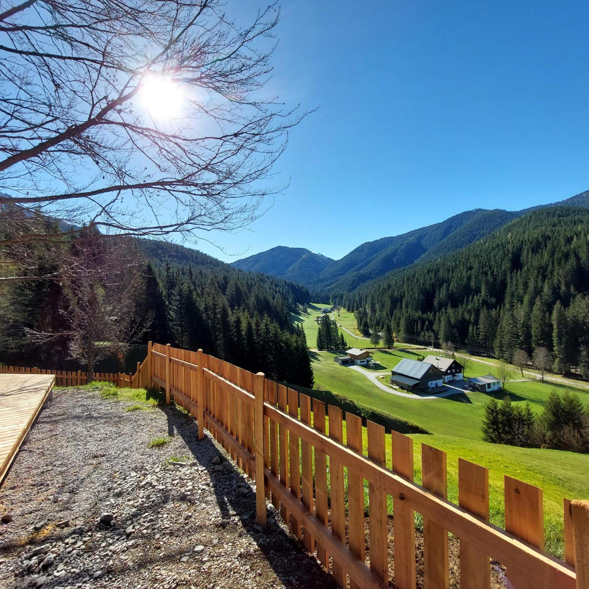 Huette Neuhaus Villa Annaberg im Lammertal Buitenkant foto