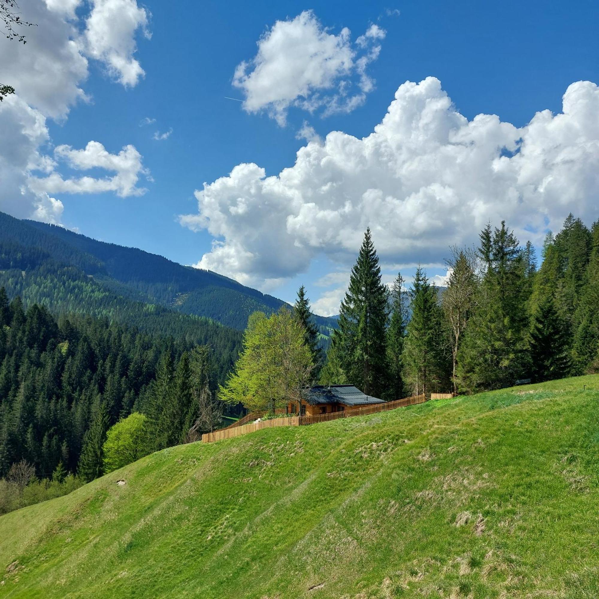 Huette Neuhaus Villa Annaberg im Lammertal Buitenkant foto