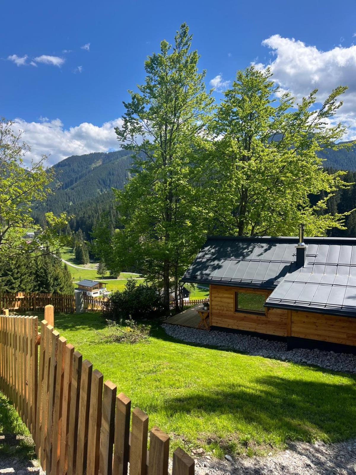 Huette Neuhaus Villa Annaberg im Lammertal Buitenkant foto