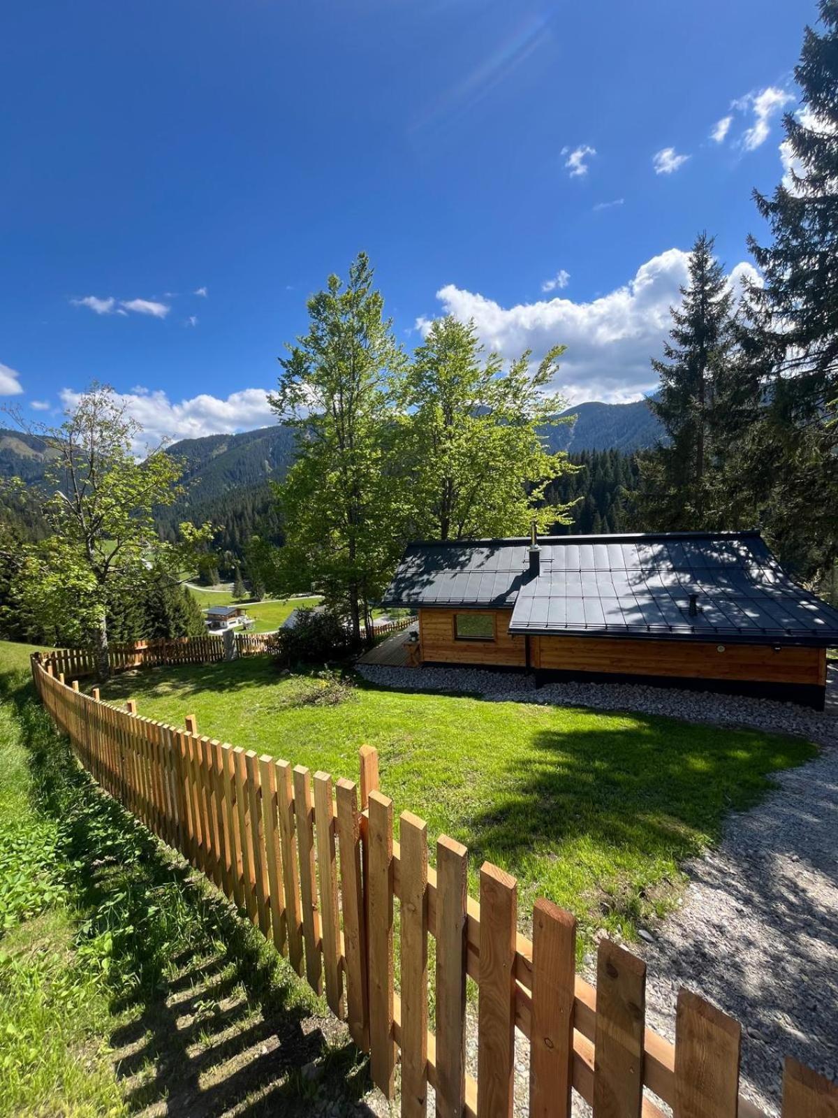 Huette Neuhaus Villa Annaberg im Lammertal Buitenkant foto